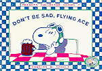 Don't Be Sad, Flying Ace